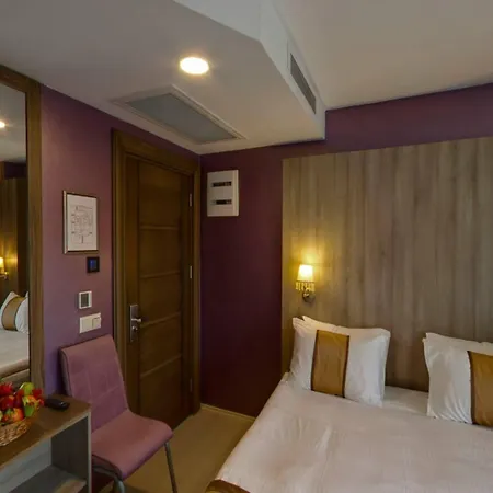 Отель Turk Ferro 3*