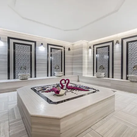 Отель Turk Ferro 3*