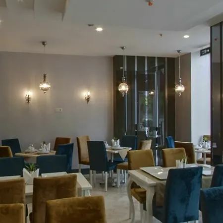 Отель Turk Ferro 3*