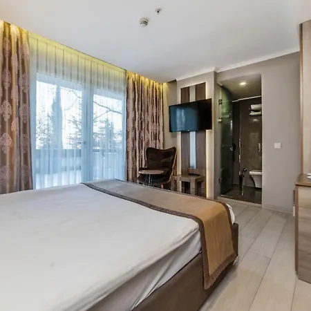 Turk Ferro Hotel 3*