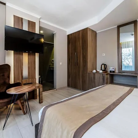 Turk Ferro 3* Бурса