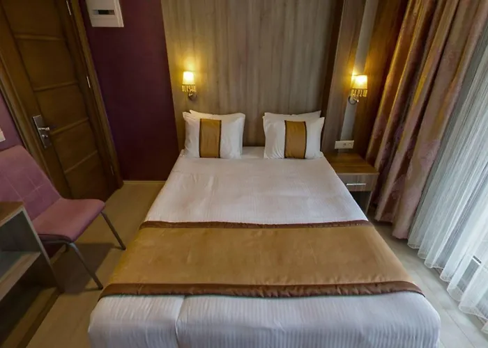 Hotel Turk Ferro Bursa