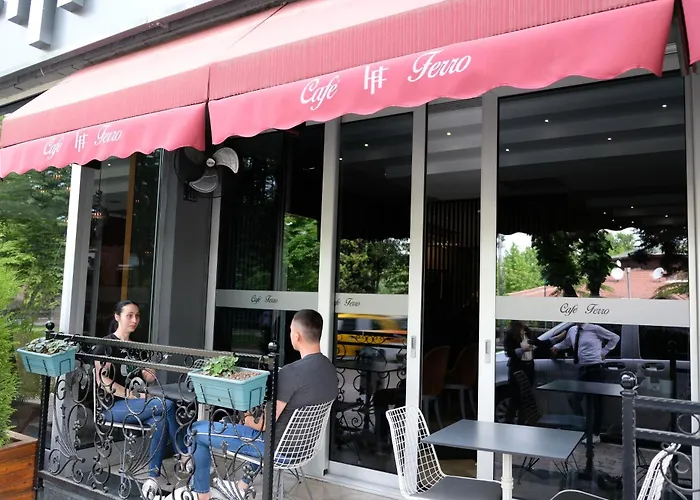 Turk Ferro Hotel Bursa