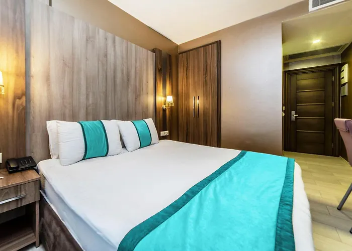 Hotel Turk Ferro Bursa