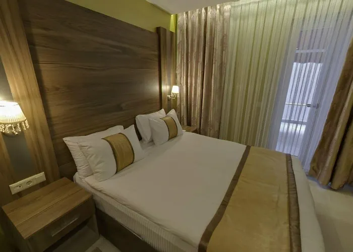 Hotel Turk Ferro Bursa