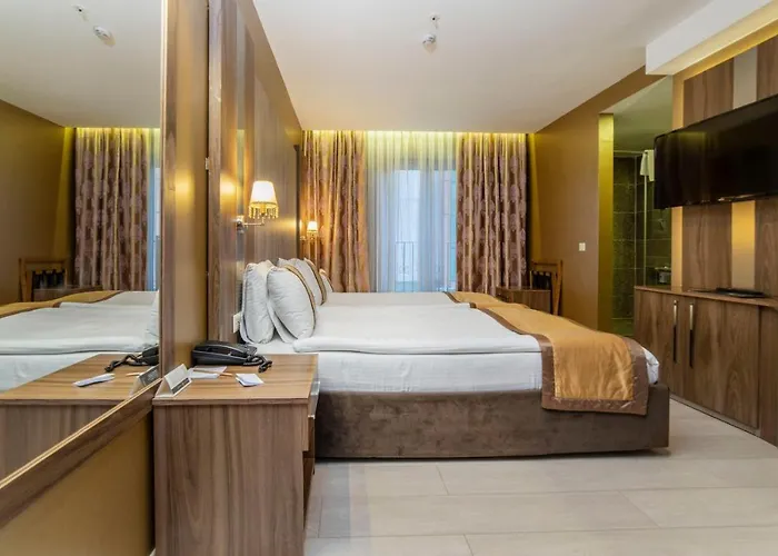 Hotel Turk Ferro Bursa