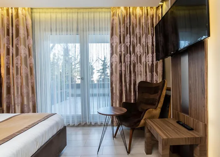 Hotel Turk Ferro Bursa